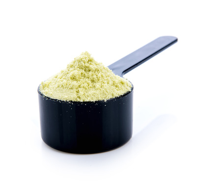 whey protein in scoop on a white background.の写真素材