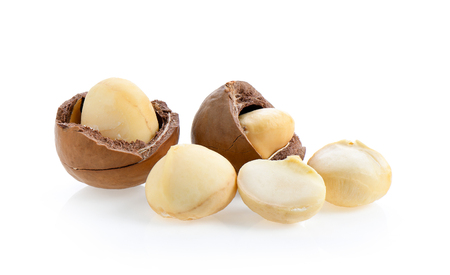 Macadamia nuts isolated on white background.の写真素材