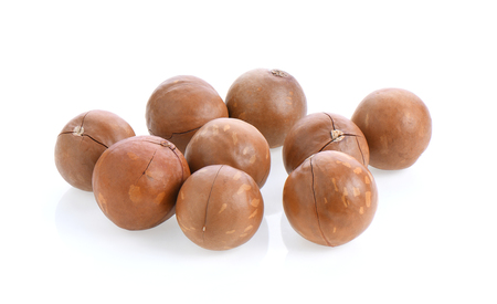 macadamia nuts isolated on white background.の写真素材