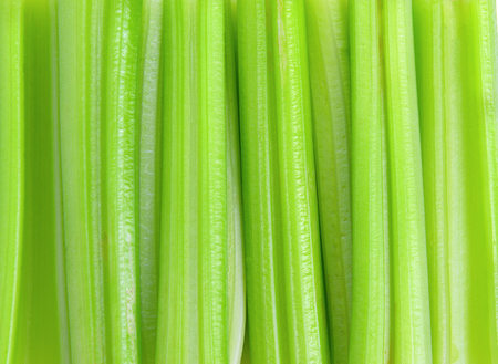 fresh celery backgroundの写真素材