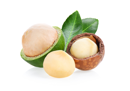 macadamia nuts isolated on white background.の写真素材