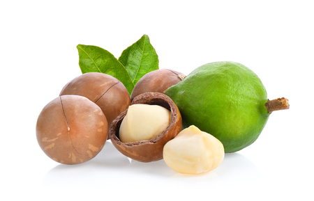 macadamia nuts with leaf isolated on white background.の写真素材