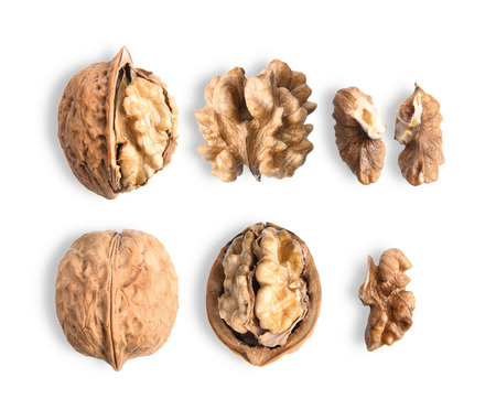 Walnuts on white background. top viewの写真素材