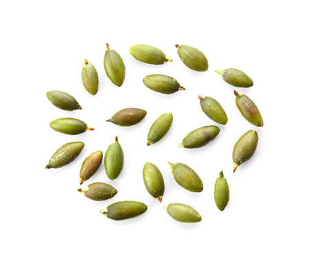 Pumpkin seeds isolated on white backgroundの写真素材