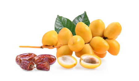 fresh and dry date palm  fruit on whitebackgroundの写真素材