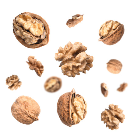 Falling walnuts isolated on white backgroundの写真素材