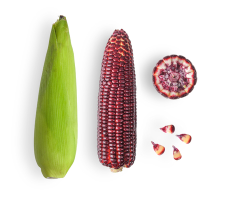 red corn on a white backgroundの写真素材