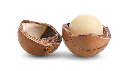 macadamia nuts isolated on white background.の写真素材