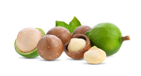 macadamia nuts with leaf isolated on white background.の写真素材
