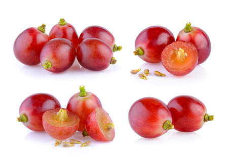 grape on white backgroundの写真素材