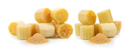 sugarcane on white backgroundの写真素材