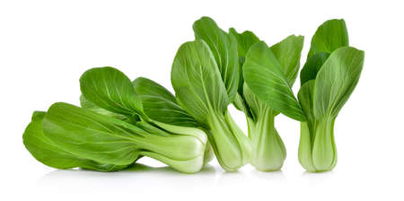 Bok choy vegetable on white backgroundの写真素材