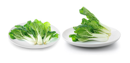 Pok Choi in plate isolated on a white backgroundの写真素材