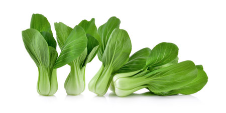 Bok choy vegetable isolated on white backgroundの写真素材