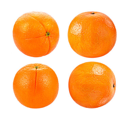 orange fruit isolated on white backgroundの写真素材
