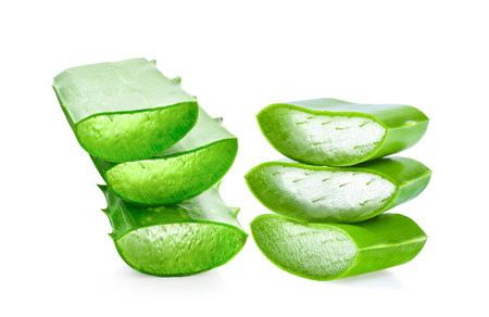 aloe vera isolated on white backgroundの写真素材