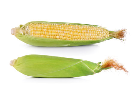 fresh corn isolated on white backgroundの写真素材