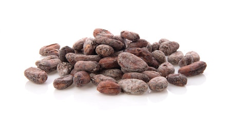Cocoa beans Isolated on white backgroundの写真素材