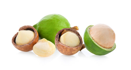macadamia isolated on white background.の写真素材