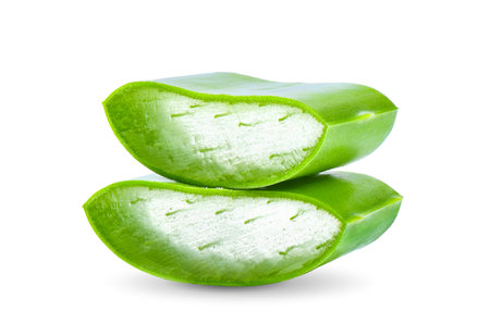 Aloe vera isolated on white backgroundの写真素材