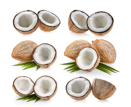 coconut isolated on white backgroundの写真素材