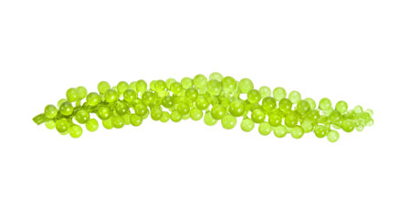 Sea grapes ( green caviar ) seaweed on white backgrounの写真素材