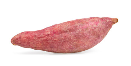 Sweet potato isolated on white backgroundの写真素材