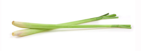 Lemongrass isolated on a white backgroundの写真素材
