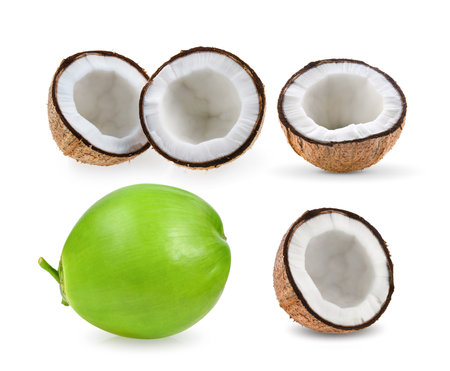 coconut isolated on white backgroundの写真素材
