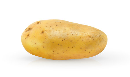 potato isolated on white backgroundの写真素材