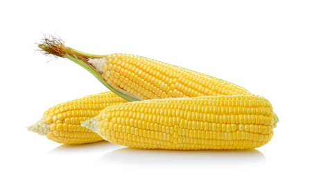 corn isolated on white backgroundの写真素材