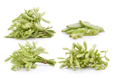 Green beans isolated on a white backgroundの写真素材
