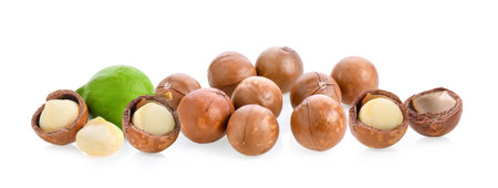 macadamia nuts isolated on white background.の写真素材