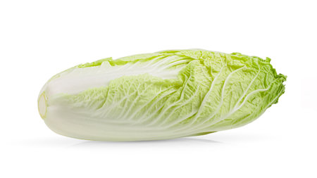 chinese cabbage Isolated on a white backgroundの写真素材