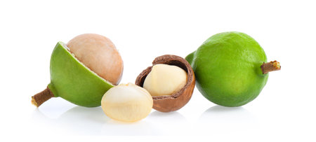 macadamia nuts isolated on white background.の写真素材
