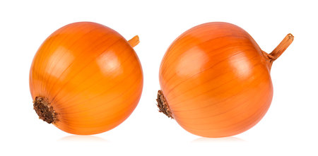 Onion isolated on white backgroundの写真素材