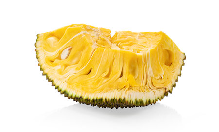 Jackfruit isolated on white backgroundの写真素材