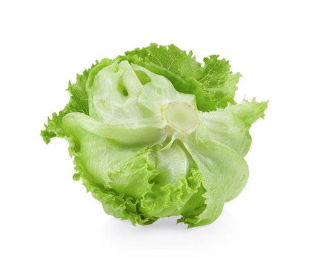 Green Iceberg lettuce isolated on White Backgroundの写真素材