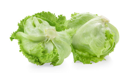 iceberg cabbage isolated on white backgroundの写真素材