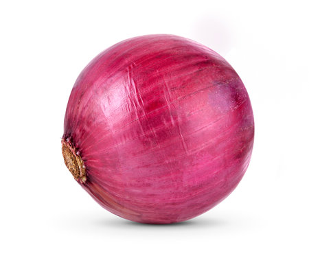 onion isolated on white backgroundの写真素材