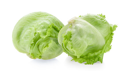 iceberg cabbage isolated on white backgroundの写真素材
