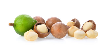 macadamia nuts isolated on white background.の写真素材