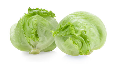 iceberg cabbage isolated on white backgroundの写真素材