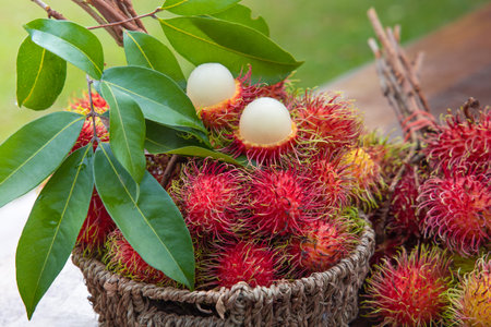 Fresh Red Rambutan fruit in basketの写真素材
