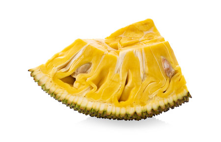 Jackfruit isolated on white backgroundの写真素材