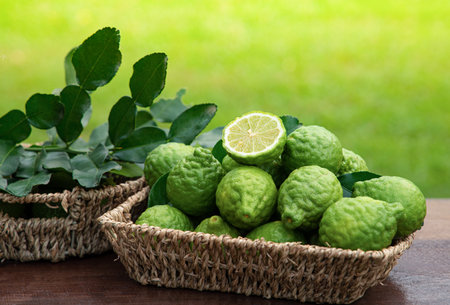 Bergamot fruit asean food and is herb in basketの写真素材