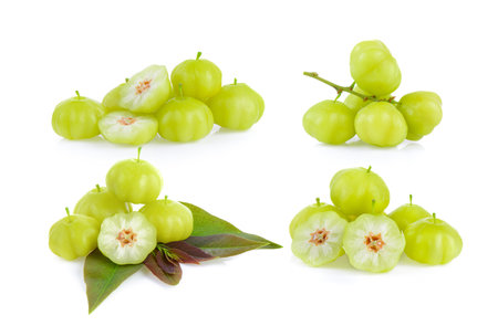 star gooseberry on white backgroundの写真素材