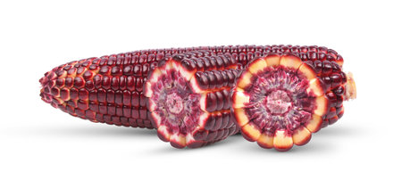 Corn isolated on white backgroundの写真素材