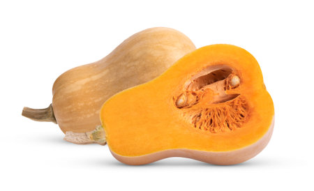 Fresh butternut isolated on a white backgroundの写真素材