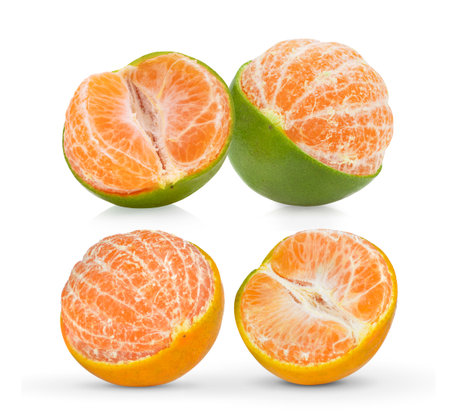 Orange tangerine isolated on white backgroundの写真素材